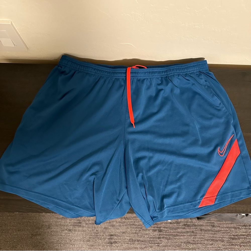 Nike Dri-Fit Shorts (XXL)- USED